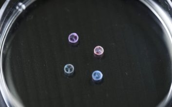 این ربات‌های حمل دارو تنها به‌اندازه یک دانه برنج هستند.