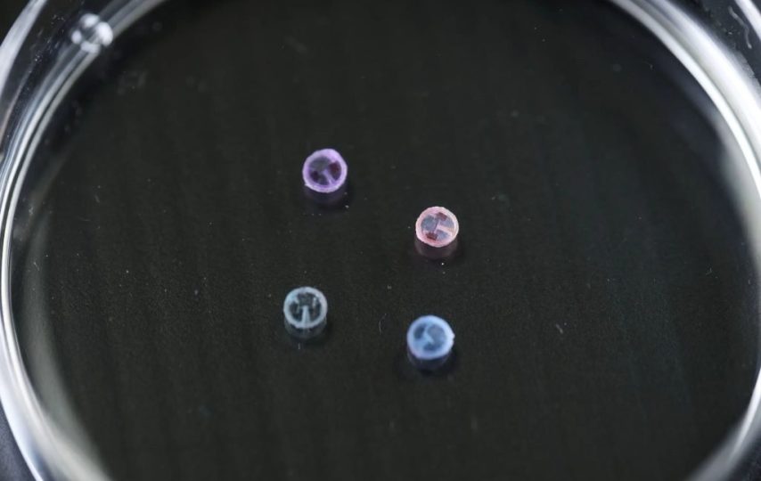 این ربات‌های حمل دارو تنها به‌اندازه یک دانه برنج هستند.