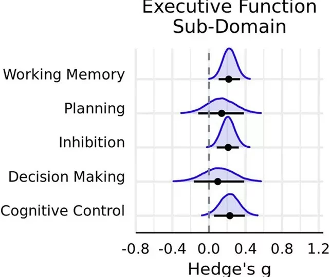 تأثیر ورزش و مغز
