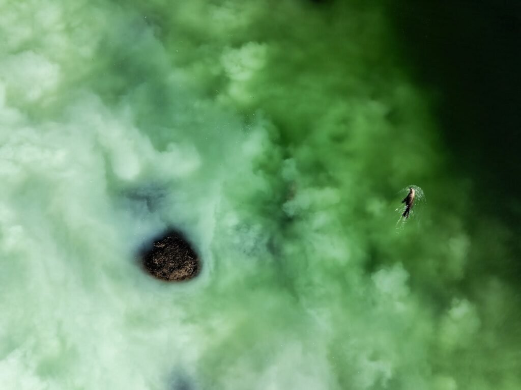 1732380808 976 برترین تصاویر 2024 نشنال جئوگرافیک معارفه شدند؛ درخشش عکاس ایرانی دنیای