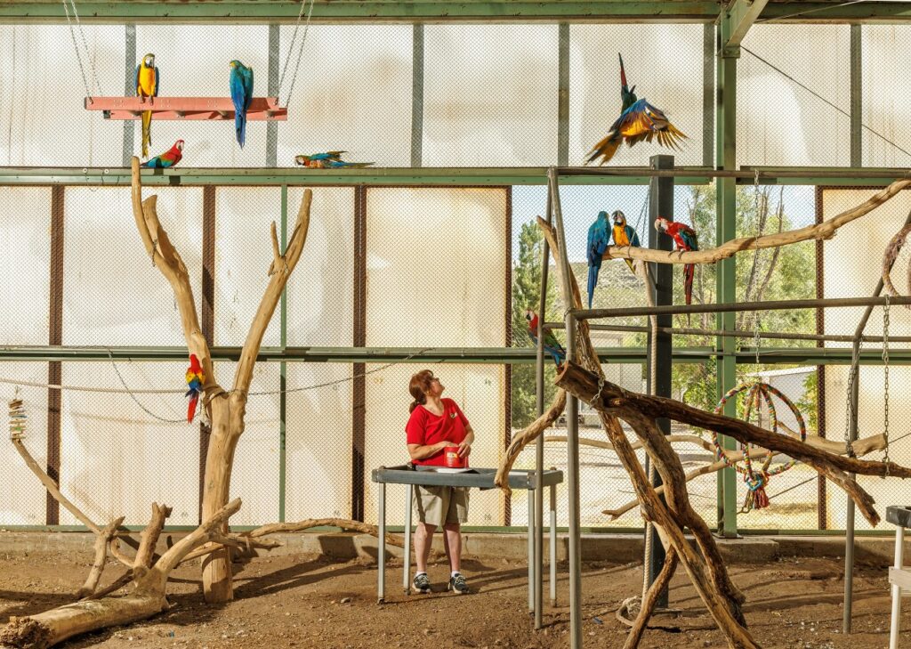 1732380809 214 برترین تصاویر 2024 نشنال جئوگرافیک معارفه شدند؛ درخشش عکاس ایرانی دنیای