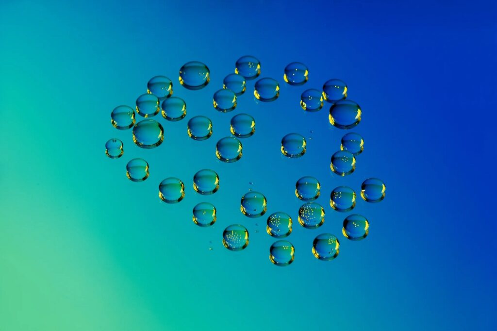 تصاویر برتر 2024 نشنال جئوگرافیک