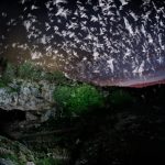 برترین تصاویر 2024 نشنال جئوگرافیک معارفه شدند؛ درخشش عکاس ایرانی_دنیای تکنولوژی 3 برترین تصاویر 2024 نشنال جئوگرافیک معرفی شدند؛ درخشش عکاس ایرانی