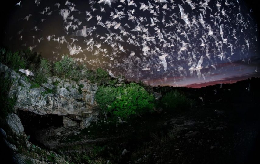 برترین تصاویر 2024 نشنال جئوگرافیک معرفی شدند؛ درخشش عکاس ایرانی