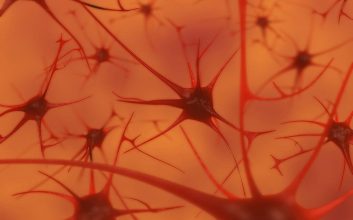 حافظه و سلول‌های بدن