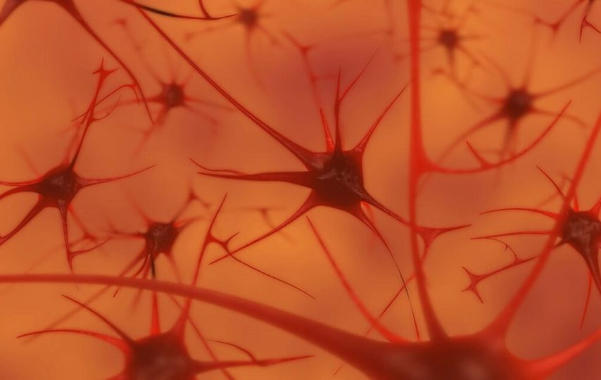 حافظه و سلول‌های بدن