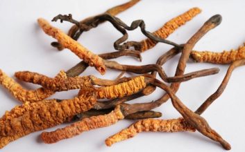 قارچ کرم ابریشم یک ماده خوراکی و دارویی محبوب در برخی کشورهای آسیایی است.