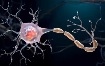 سلول‌های مغزی و فضا