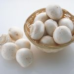 خواص قارچ سفید خوراکی + شیوه‌ها و نکات مهم مصرف قارچ سفید