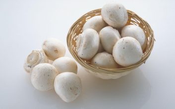 خواص قارچ سفید خوراکی + شیوه‌ها و نکات مهم مصرف قارچ سفید