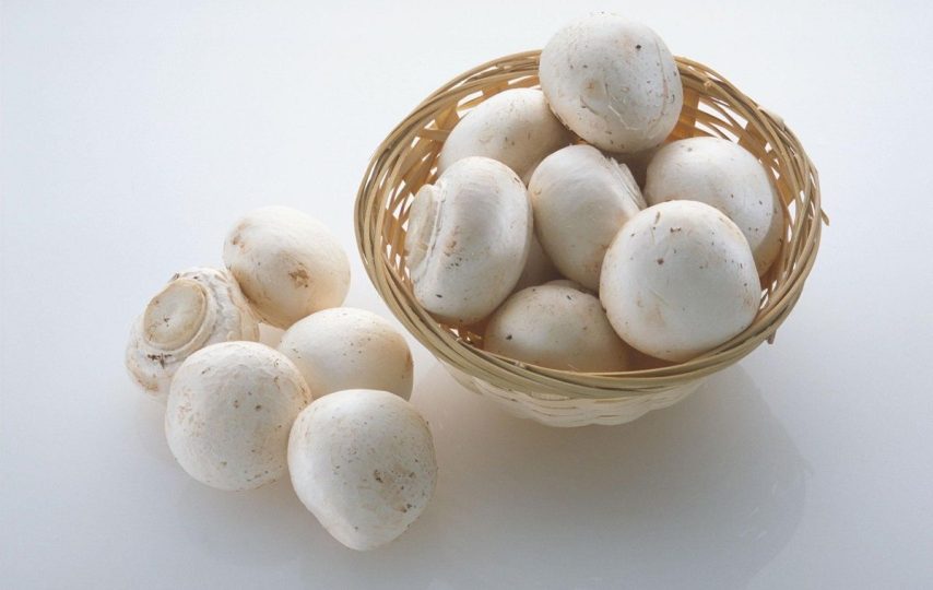 خواص قارچ سفید خوراکی + شیوه‌ها و نکات مهم مصرف قارچ سفید