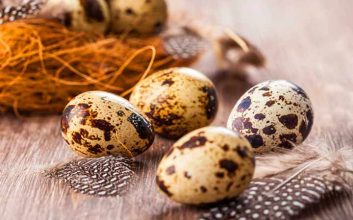 خواص تخم بلدرچین - تخم بلدرچین اندازه کوچکی داشته ولی سرشار از مواد مغذی است.