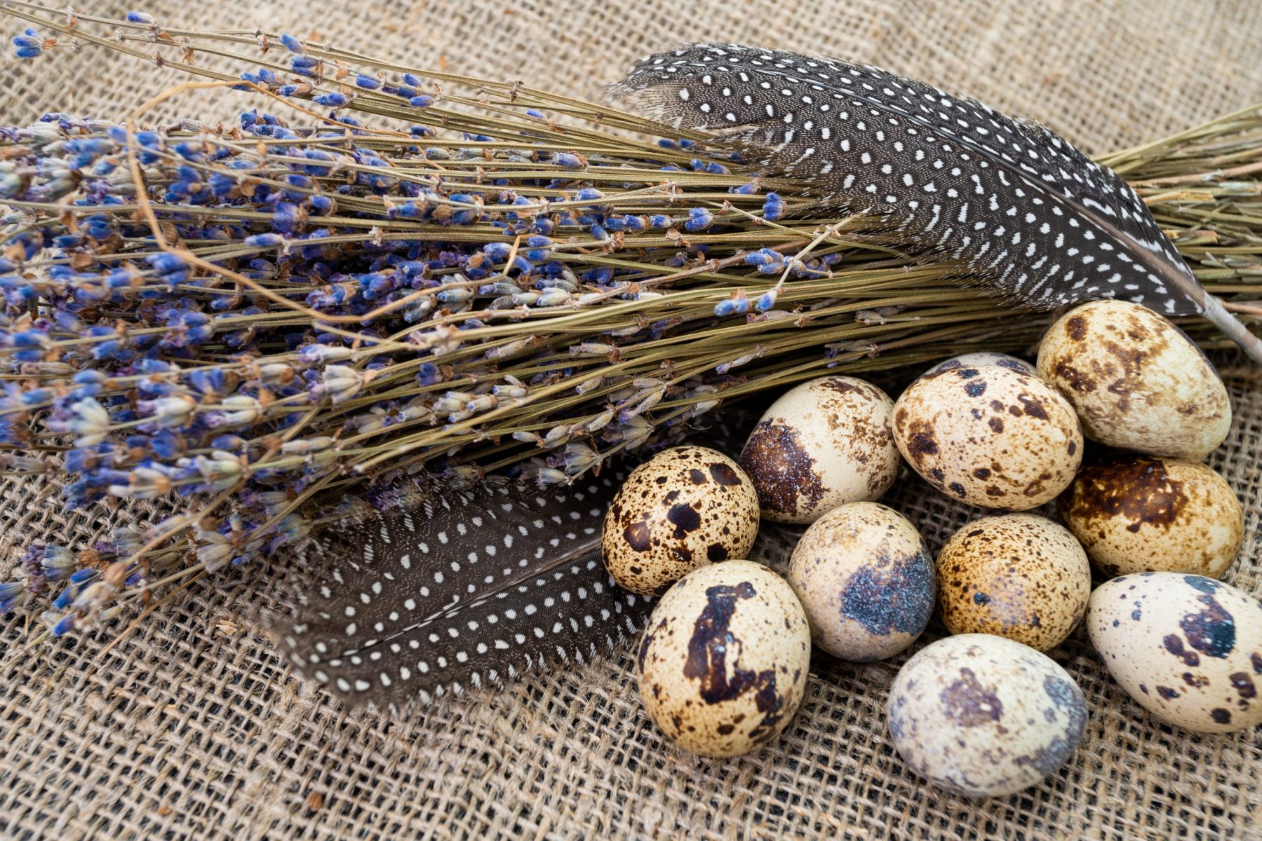 خواص تخم بلدرچین؛ ۱۳ خاصیت شگفت‌انگیز این خوراکی بی‌نظیر دنیای تکنولوژی