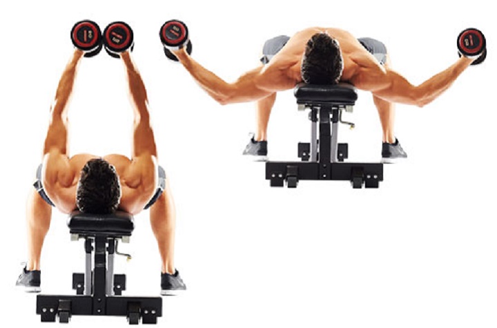 ورزش با دمبل؛ ۲۷ تمرین با دمبل برای تحکیم عضلات_دنیای تکنولوژی 78 ورزش با دمبل - دمبل فلای خوابیده