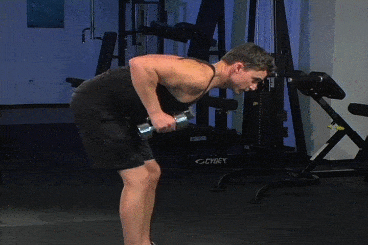 ورزش با دمبل؛ ۲۷ تمرین با دمبل برای تحکیم عضلات_دنیای تکنولوژی 76 ورزش با دمبل - کیک بک عضله سه سر بازویی