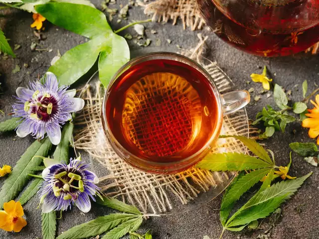 1742376376 300 دمنوش های سودمند ۱۲ دمنوش گیاهی سودمند که باید امتحان.webp