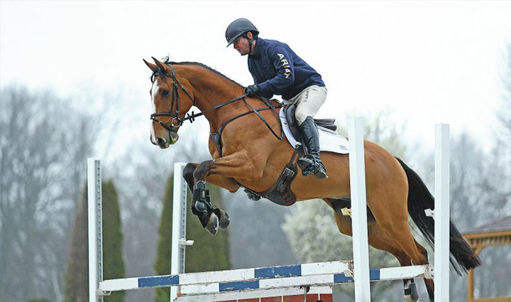 گران ترین ورزش های جهان؛ ۱۱ ورزش لاکچری و پرهزینه اما جذاب_دنیای تکنولوژی 24 اسب سواری - گران ترین ورزش های جهان