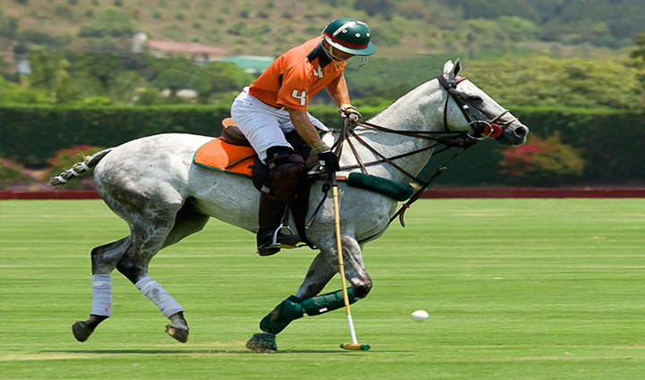 گران ترین ورزش های جهان؛ ۱۱ ورزش لاکچری و پرهزینه اما جذاب_دنیای تکنولوژی 28 چوگان - گران ترین ورزش های جهان