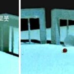 ترمیناتور در دنیای واقعی؛ این ربات مایع می‌تواند از زندان فرار کند! + ویدیو