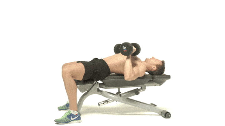 ورزش با دمبل؛ ۲۷ تمرین با دمبل برای تحکیم عضلات_دنیای تکنولوژی 67 ورزش با دمبل - پرس نیمکت