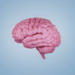 غیرفعال کردن اینترنت موبایل می‌تواند فرایند پیری مغز را معکوس کند