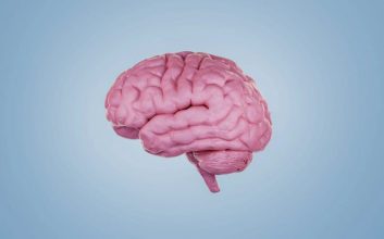 غیرفعال کردن اینترنت موبایل می‌تواند فرایند پیری مغز را معکوس کند