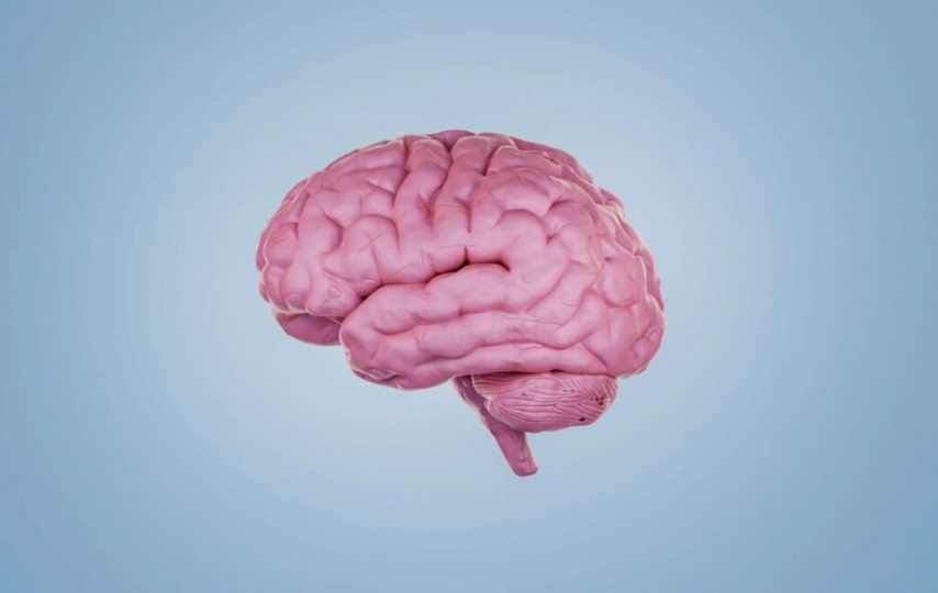 غیرفعال کردن اینترنت موبایل می‌تواند فرایند پیری مغز را معکوس کند