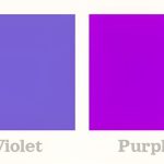 رنگ ارغوانی در مغز انسان