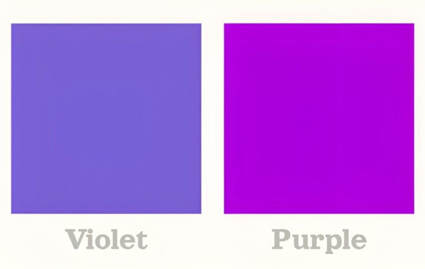 رنگ ارغوانی در مغز انسان