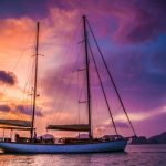 رنگ اقیانوس های زمین در آینده ممکن است بنفش شود