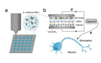 باتری جدید دانشمندان چینی با باکتری کار می‌کند؛ با قابلیت شارژ خودکار