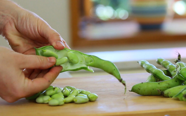 خواص باقلا و خواص باقلا پخته؛ ۶ خاصیت درمانی یکی از غنیترین منبع های فیبر_دنیای تکنولوژی 21 خواص باقلا -فواید باقلا