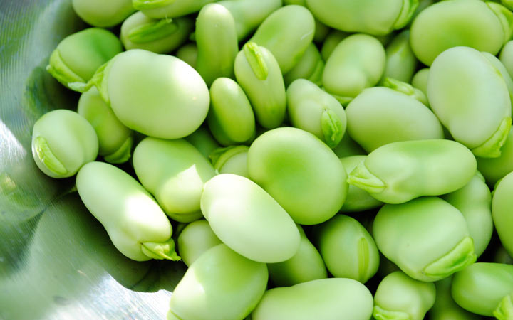 خواص باقلا و خواص باقلا پخته؛ ۶ خاصیت درمانی یکی از غنیترین منبع های فیبر_دنیای تکنولوژی 20 فواید باقلا