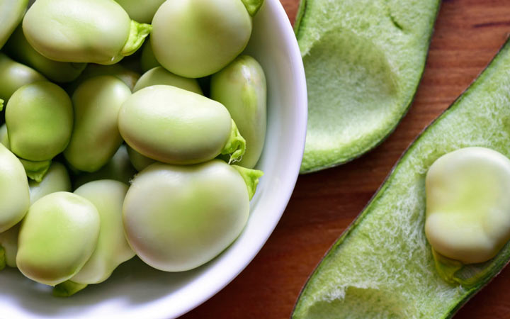 خواص باقلا و خواص باقلا پخته؛ ۶ خاصیت درمانی یکی از غنیترین منبع های فیبر_دنیای تکنولوژی 22 خواص باقلا - حقایقی در مورد باقلا