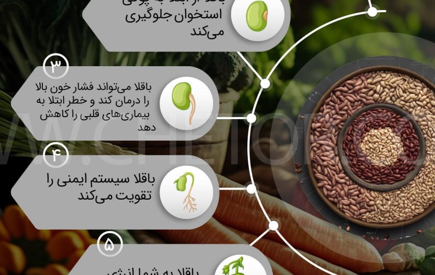 لیست خواص باقلا