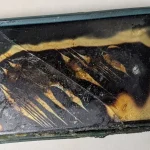 انفجار گوشی پیکسل 6a به‌خاطر باتری متورم