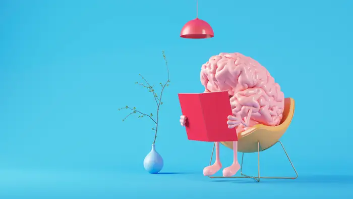 1747835921 17 انواع تیپ مغزی و تأثیر آن بر شخصیت ‌ تیپ.webp