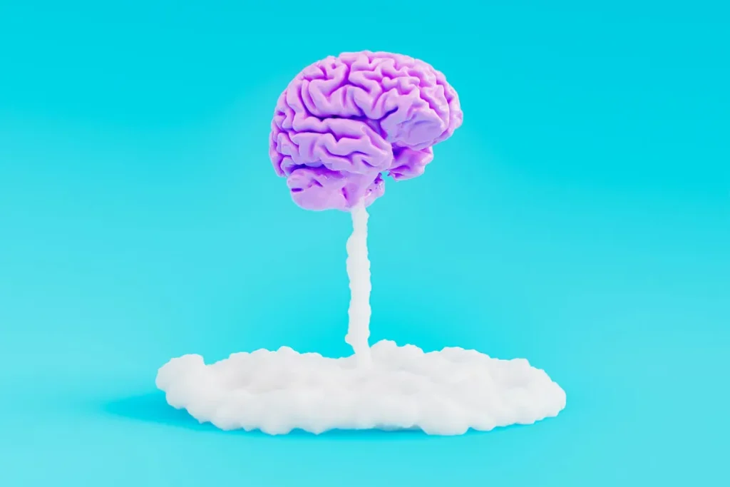 1747835921 541 انواع تیپ مغزی و تأثیر آن بر شخصیت ‌ تیپ.webp