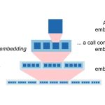 اورانگوتان‌ها