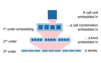 اورانگوتان‌ها