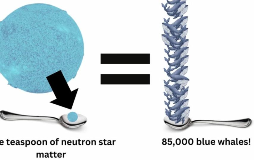 یک قاشق چایخوری از ماده ستاره نوترونی وزنی معادل حدود ۸۵ هزار نهنگ آبی دارد.