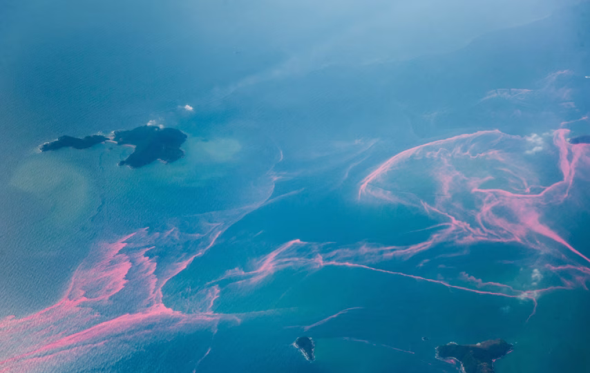 تصویری از کشند سرخ نوعی شکوفایی جلبکی زیان‌بار