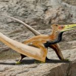 کشف خزنده بال‌دار در ژاپن