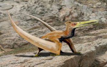 کشف خزنده بال‌دار در ژاپن