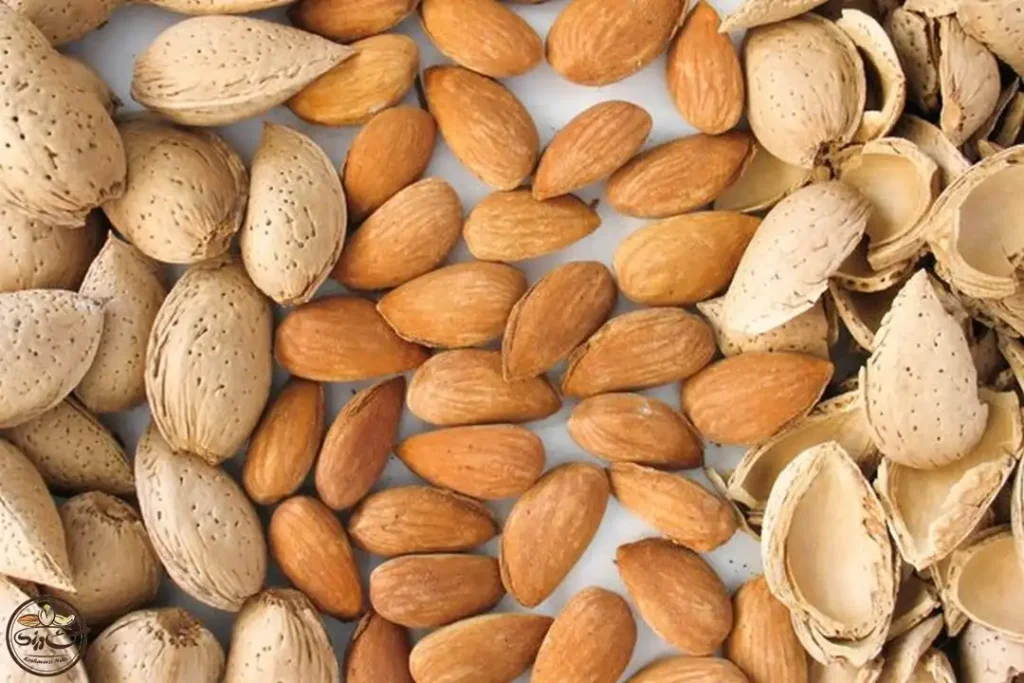 برای افت اسید معده چه بخوریم؟ ۲۶ خوراکی برای.webp