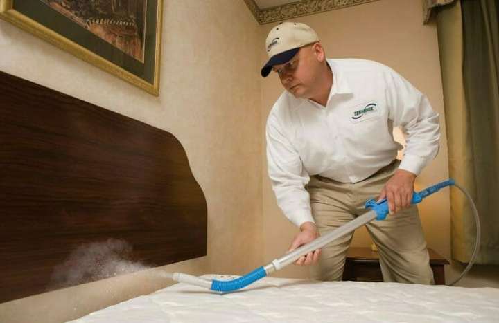 از بین بردن ساس | این حشره از چه چیزی بدش می آید_دنیای تکنولوژی 13 ساس - خلاص شدن از شر ساس