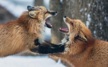 چگونه با افراد بی ادب برخورد کنیم؟ - قضیه را درام نکنید