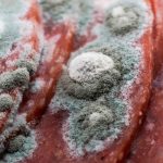 گوشت تازه و منجمد چه تفاوت‌هایی دارند؟ آیا گوشت تازه سالم‌تر است؟