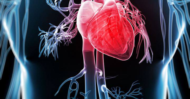 شیرین گفتن برای چی خوبه: ۲۷تا از خواص شیرین بیان_دنیای تکنولوژی 24 خواص شیرین بیان - کمک به افزایش سلامت قلب و عروق