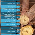 نگاهی به خواص شیرین بیان